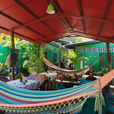 מויוגאלפה Cocos Hostel מראה חיצוני תמונה