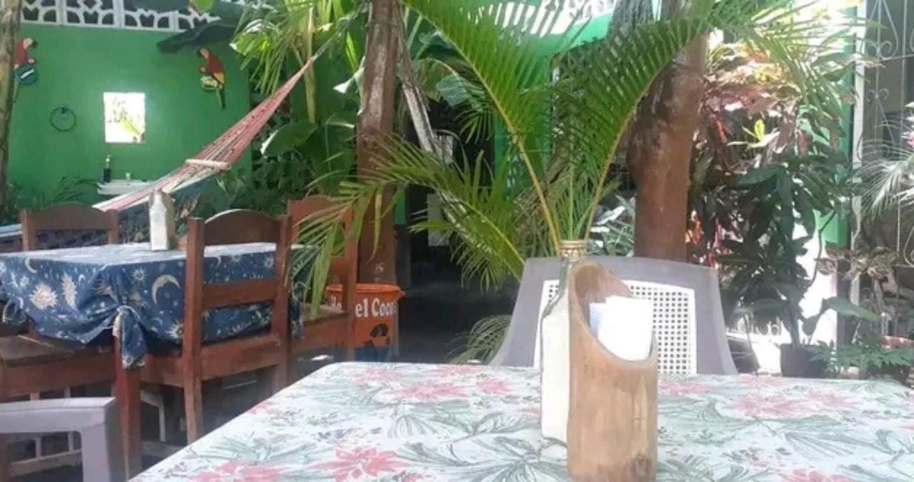 מויוגאלפה Cocos Hostel מראה חיצוני תמונה