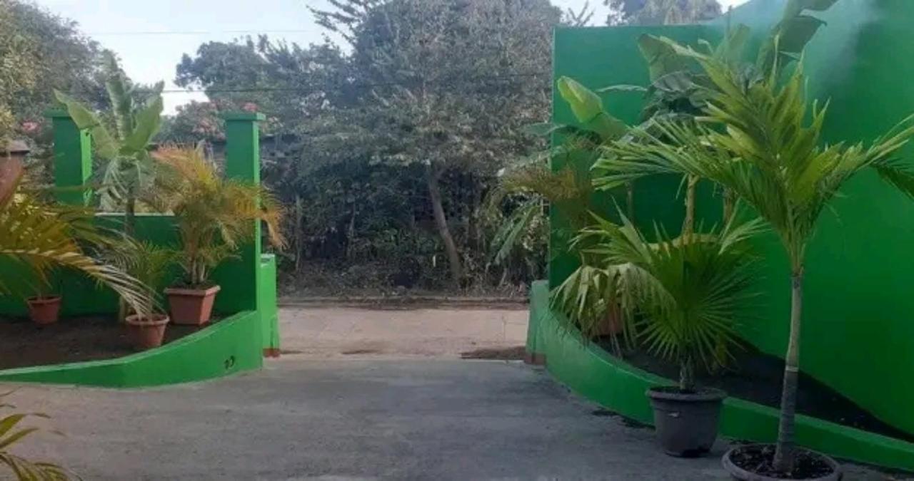 מויוגאלפה Cocos Hostel מראה חיצוני תמונה